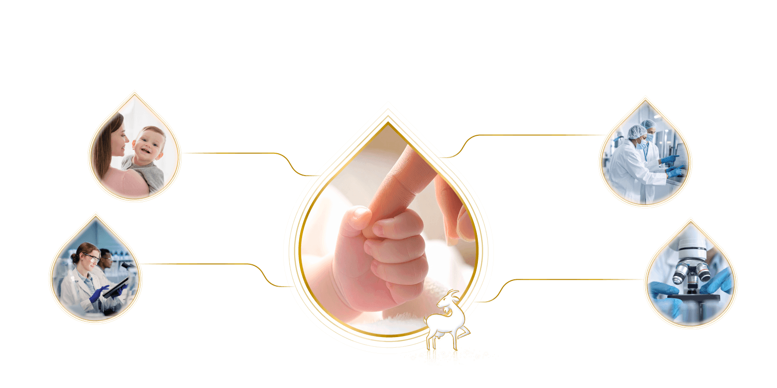 啟賦羊3 羊配方首選 與你一起守護寶寶成長的每一步